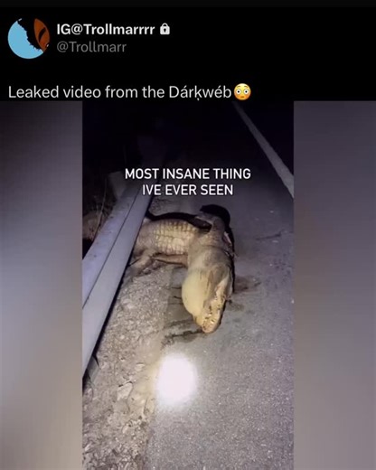 Trollmarr | Follow @trollwildin, my mom friend recorded this | Instagram