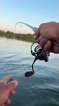 SOMBRE ÉMOTIONS #shorts #fishing #emotional