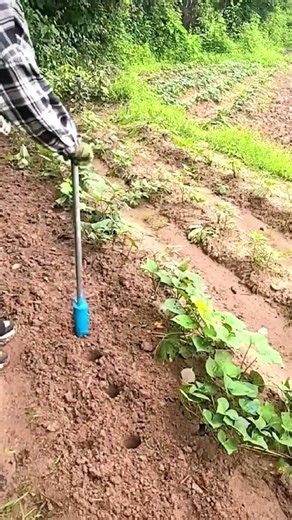 The Smartest Planting Tool Ever? 🤯🌱