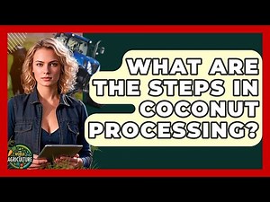 What Are The Steps In Coconut Processing? - The World of Agriculture