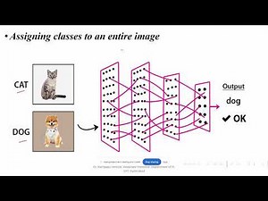 Convolutional Neural Networks (CNN) – Concepts, Advantages & Applications