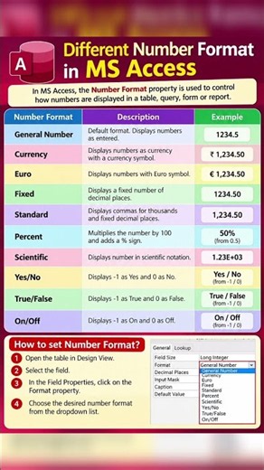Different Number Formats in MS Access