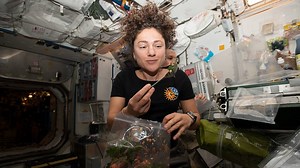 Genetically modified lettuce is the future of food and drugs in space, scientists say. Let us explain