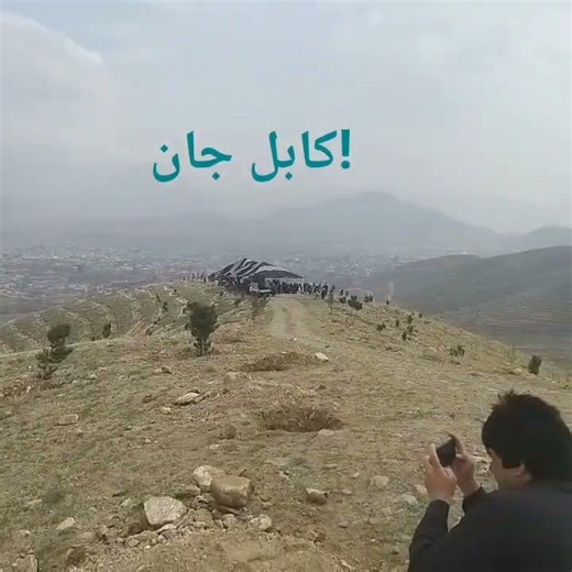 Tree plantation campaign