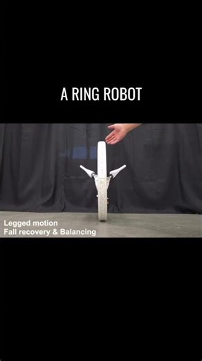 A Mono #cycle #robot with Legs