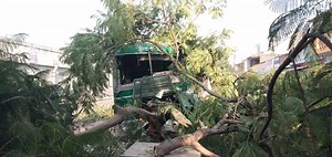 Janrath Bus Accident: जनरथ बस अनियंत्रित होकर पेड़ में जा घुसी, चालक और परिचालक को आईं चोटें