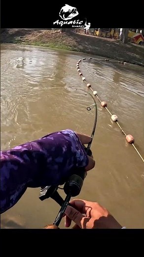 ปลากระแหก็ดุน่ะ #fishing #fish #lurefishing