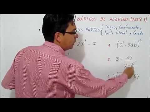 CONCEPTOS BÁSICOS DE ALGEBRA Parte 1