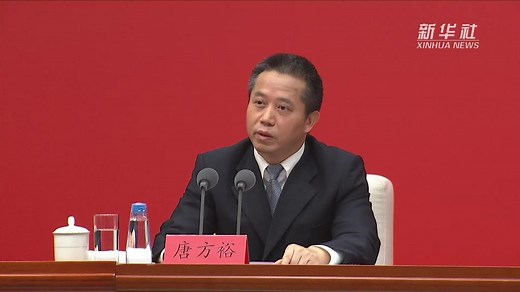 二十大报告介绍解读｜健全全面从严治党体系-新华网