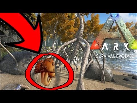 🎮 How to get RARE MUSHROOMS // ARK: Survival Evolved