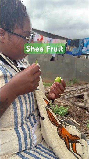 Shea Fruit