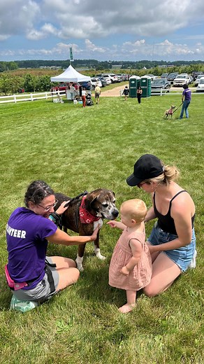 Adoptable dogs from our shelter had a fabulous time at the TC Shop and Sip! 😆❤️🐾 They got lots of treats and met new friends of all ages. 🥹 Thank you for your generosity and support in including our nonprofit to help find our furry friends homes! 🤗 #doggydayout #goodday #northernmichigan #makers #adoptdontshop #cherrylandhumanesociety | Cherryland Humane Society