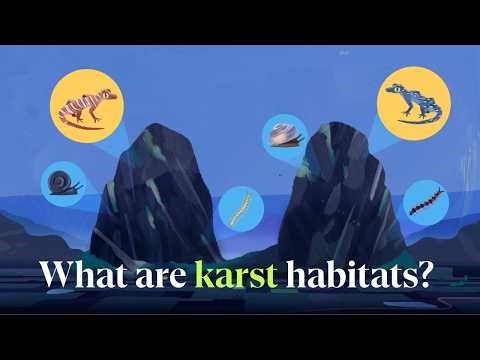 New animal species discovered deep inside Cambodia caves