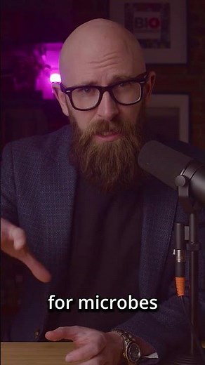 The Tollund Man- The Perfectly Preserved Bog Body That Reveals the Secrets of a Violent Past #shorts