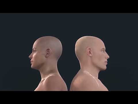 Complete Anatomy 女性解剖模型重大更新懶人包