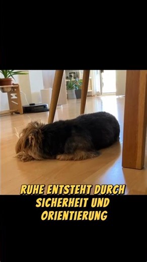 Lilly konnte früher kaum abschalten.