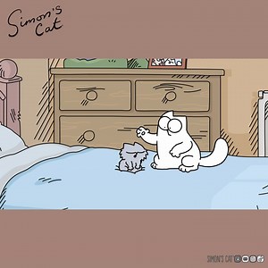 Look what I found?! 👐😺 | Simon's Cat