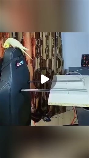 Instant Gaming English | Real Life Simulator! | Instagram