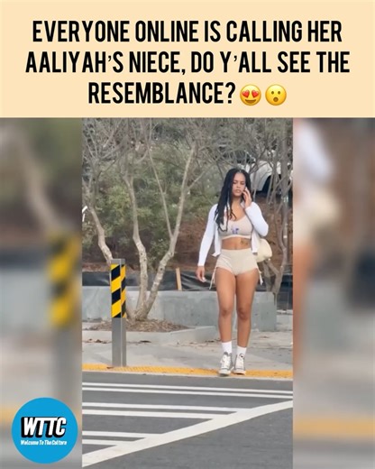 Welcome To The Culture on Instagram: "Do y’all think Aaliyah and @itsavagrey look alike?"