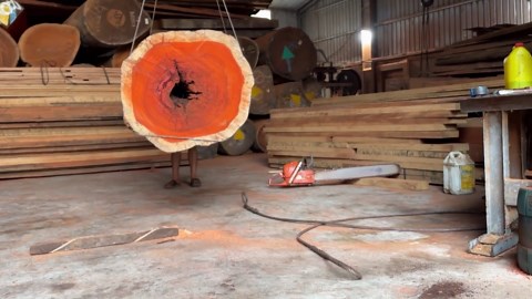 Advanced Tree Cutting Techniques