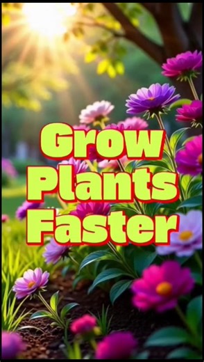 DIY Powerful Home Fertilizer: The Science & The Soil