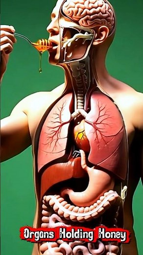 Faceless Human Body — 3D Medical Anatomy Render honey