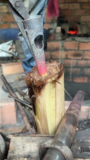 Watch how a blacksmith performs tempering or hardening using the banana trunk method #blacksmith