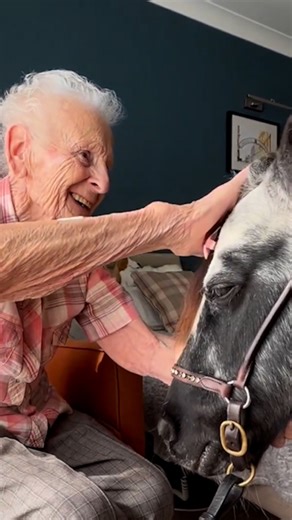 Watch how this special therapy pony brings joy to elderly people’s bedsides