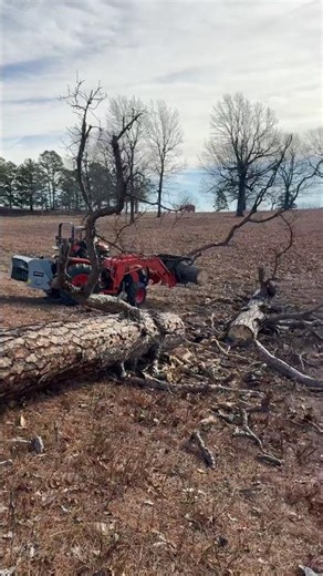 Days on the farm NEVER go as planned 🤪. Tree fell on the electric fence #farmlife #tractor #tree