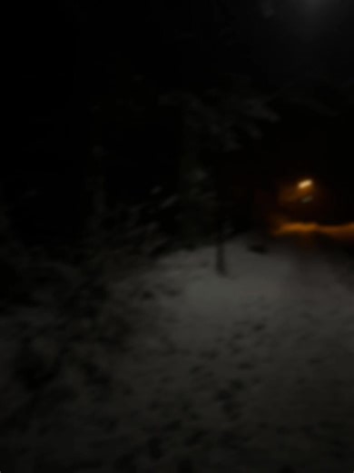 Understanding Isolation in Modern Life