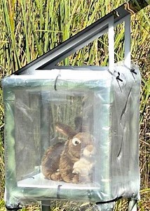 Robotic rabbits are deployed in South Florida python hot spots to fight snake explosion