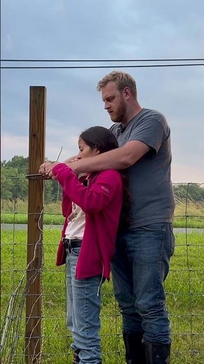 How we keep goats away from the garden #electricfence #goats #shorts