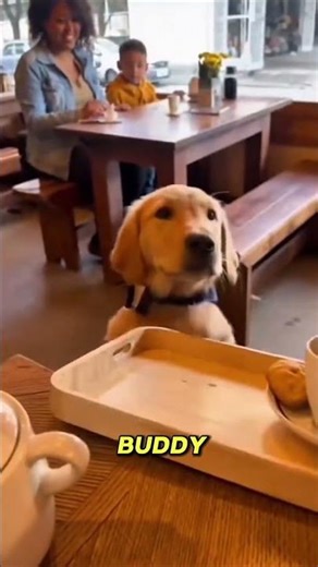 Talented Dog Serving Customers Like a Pro!#shorts