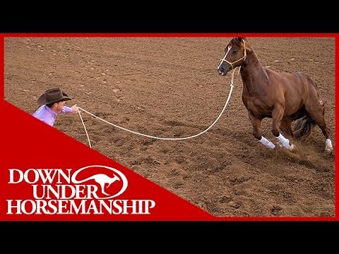 Clinton Anderson: Why Use a 14-Foot Lead Rope - Downunder Horsemanship