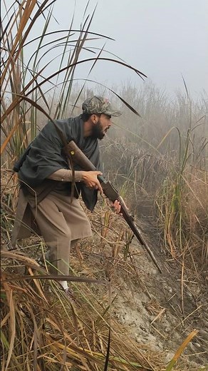 Jungle Hunt: Into the Wild!