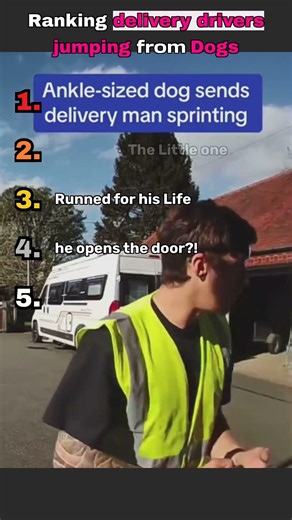 Ranking delivery Drivers jumping from dogs