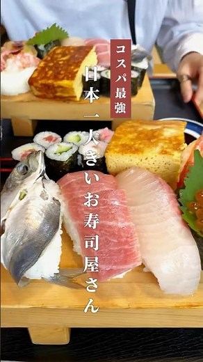 こんな大きなお寿司見たことない？！🍣#千葉グルメ #館山ランチ #海鮮 #茂八 #コスパ旅