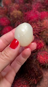 How to Pronounce Lychee: Correctly Pronouncing the Exotic Fruit