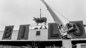 Bi-Lo's iconic history in Greenville from Walter to the Bi-Lo Bull to the Bi-Lo Center