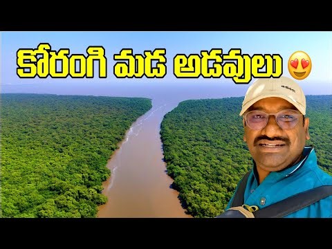 Coringa Wildlife Sanctuary Kakinada 🌿 | India’s 2nd Largest Mangrove Forest | Andhra Pradesh Tourism