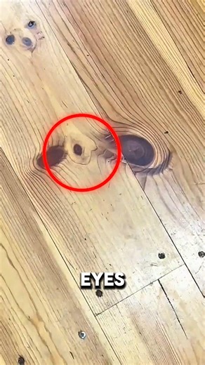 Hidden Faces in the House 🤯