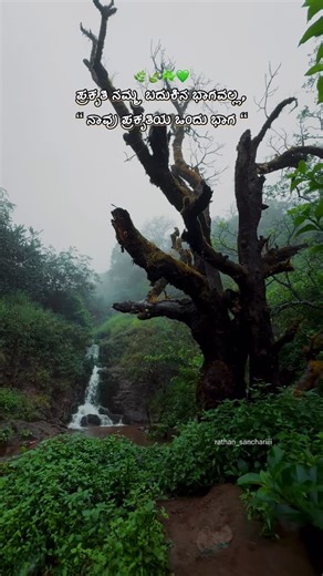 Rathan🖤 on Instagram: "Nature Always Win☘️🍃🌿🙌"