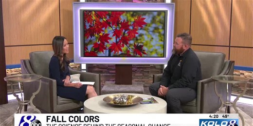 The Science Behind Fall Foliage