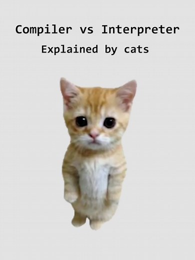 Complier vs Interpreter: A Cat's Explanation