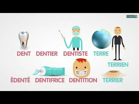 Les familles de mots (Canopé)