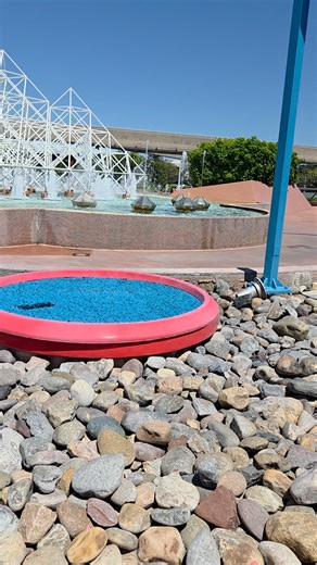 We LOVE the Jumping Water Fountains in EPCOT ⛲ #fblifestyle #epcotfoodandwinefestival | Chip and Company