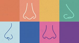 A smell test for science — Harvard Gazette