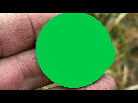 Giant Silver,Spanish,Chinese,and Copper!! Diggin' Duo Metal detecting Late Jan 2026