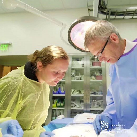 Interactive Aortic Disease Symposium Course