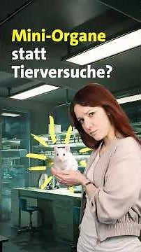 Mini-organs instead of animal testing?